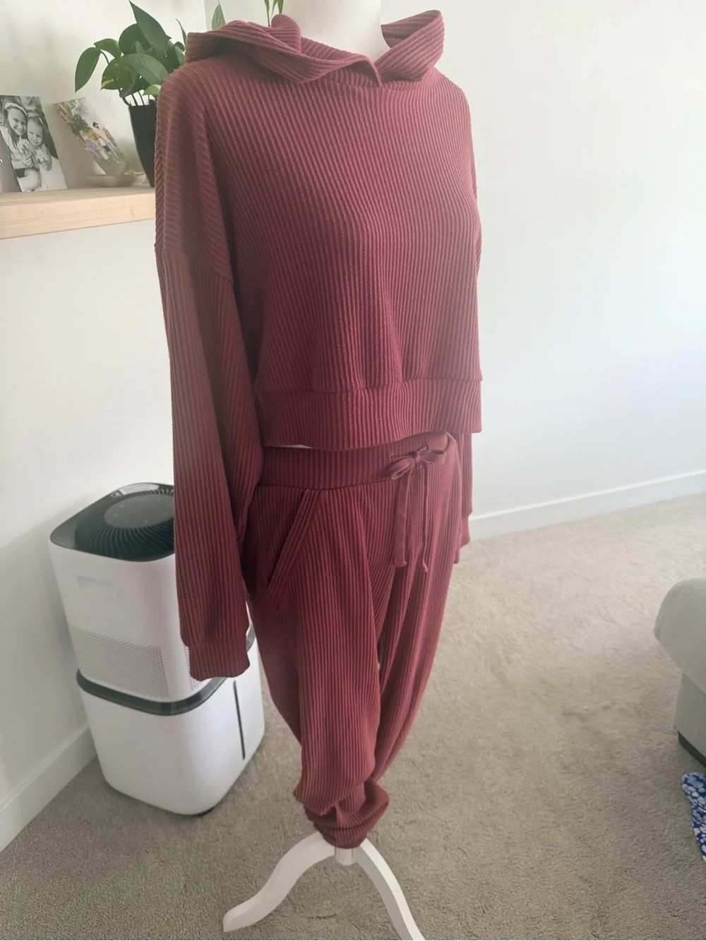 SET!! Alo Yoga Muse Ribbed Hoodie & Pants Set in Mauve